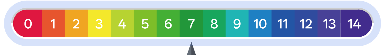 PH레벨 테스트 7